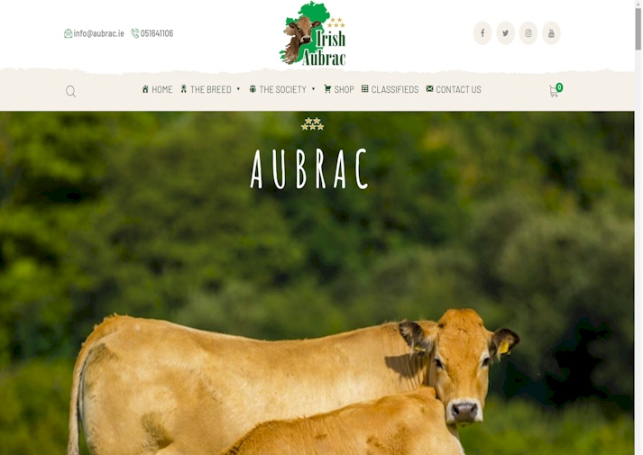 aubrac